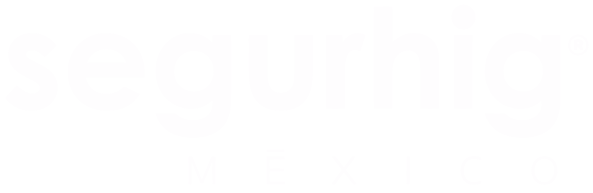 Segurhig México